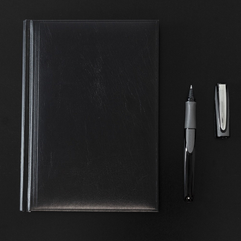 Roller Schneider Ray [6]