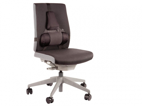 Suport ergonomic pentru spate Pro Series Ultimate Fellowes [1]