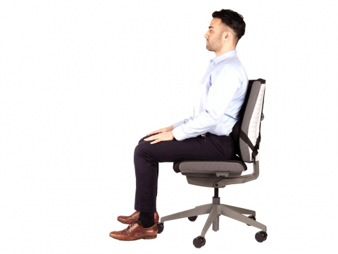 Suport ergonomic pentru spate Pro Series Ultimate Fellowes [3]