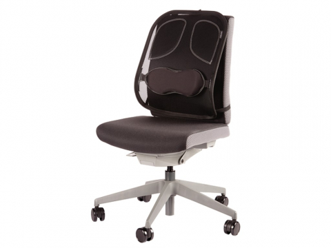 Suport ergonomic pentru spate Professional mesh Fellowes [1]