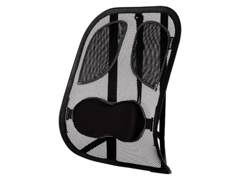 Suport ergonomic pentru spate Professional mesh Fellowes [0]