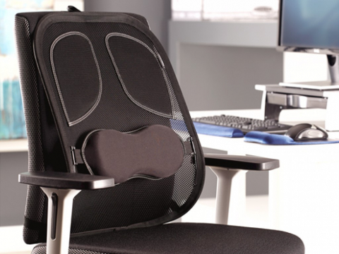 Suport ergonomic pentru spate Professional mesh Fellowes [4]