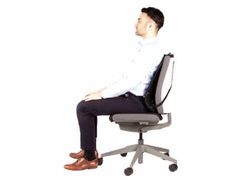 Suport ergonomic pentru spate Professional mesh Fellowes [3]