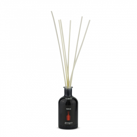 Parfum de Ambient Terrae [1]