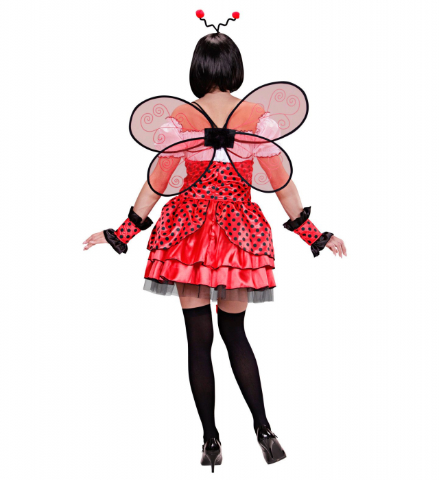 Costum Buburuza [3]