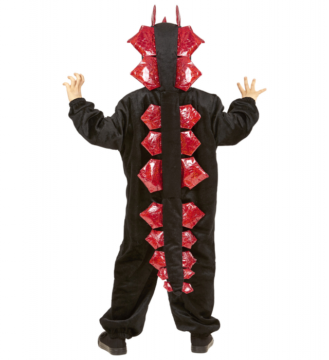 Costum Dragon Negru [2]