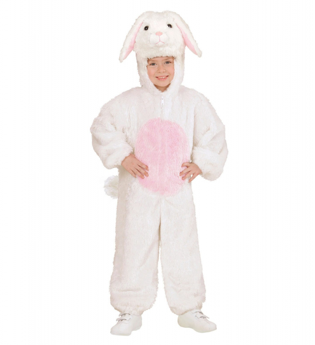 Costum Iepure Simpatic [2]