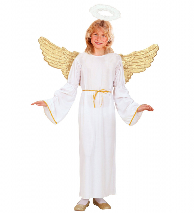 Costum Inger Copii [2]