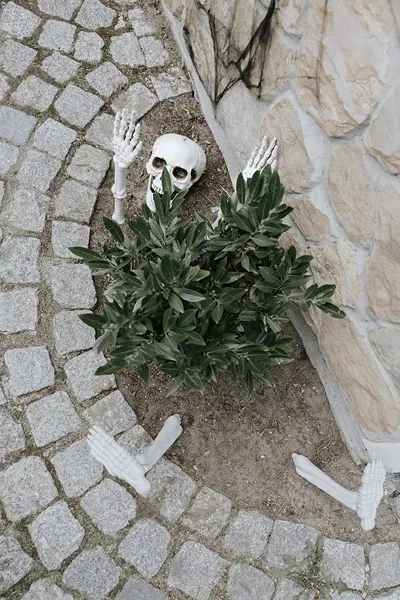 Decoratiune Schelet Halloween [3]