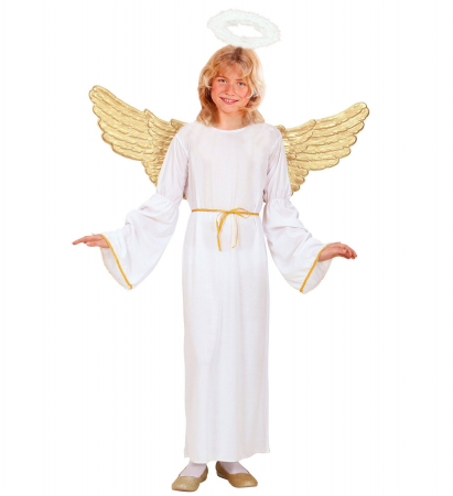 Costum Inger Copii [1]