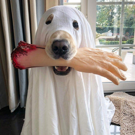 Decoratiune Halloween - Mana taiata [1]