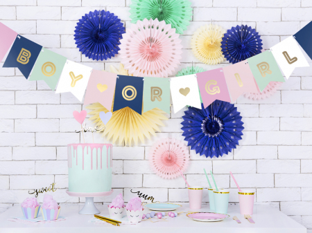 Banner Boy or Girl Gender Reveal, 175 cm [2]