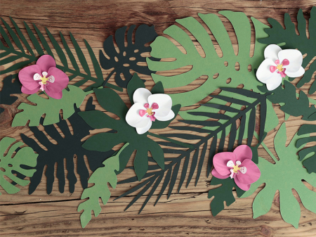 Set 6 Decoratiuni Aloha - Orhidee [4]