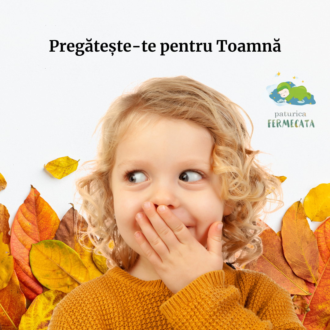 Pregătește-te pentru Toamnă cu Păturica Fermecată: Cele Mai Călduroase Accesorii
