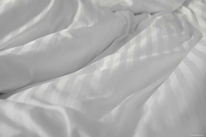King’s Bed - lenjerie de pat Damasc 100% bumbac, dungă de 1 cm personalizabila pe dimensiuni [4]