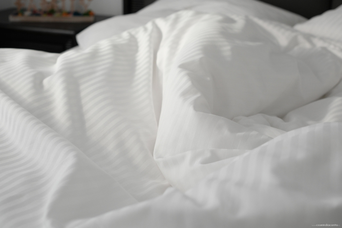 Queen’s Bed - lenjerie de pat Damasc 100% bumbac, dungă de 0.5 cm personalizabila pe dimensiuni [6]