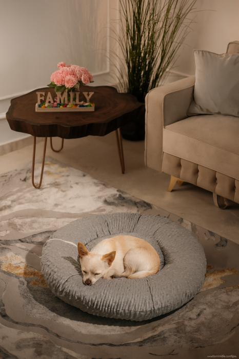 Pernă culcuș din Minky Premium Rotund, pentru căței și pisici, talie medie și mică, cu pernă detașabilă, prevăzută cu fermoar 85x85 [1]