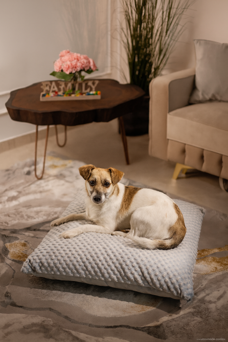 Perna Minky Premium pentru catei si pisici, talie medie si mica, cu Buzunar tip paturica, 80×70 cm [5]