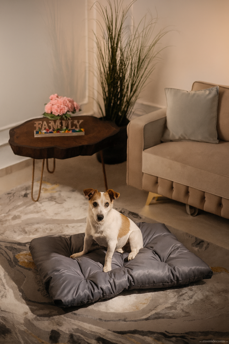 Saltea pernă impermeabilă, matlasată, pentru căței și pisici, talie medie si mică, pentru interior și exterior, 100x65 cm [1]