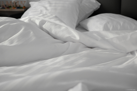 King’s Bed - lenjerie de pat Damasc 100% bumbac, dungă de 1 cm personalizabila pe dimensiuni [4]