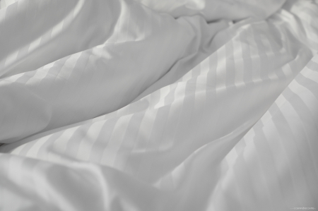 King’s Bed - lenjerie de pat Damasc 100% bumbac, dungă de 1 cm personalizabila pe dimensiuni [3]