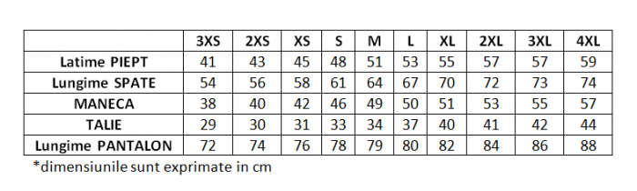 Trening Cationic PEAK Style21 barbati gri [7]