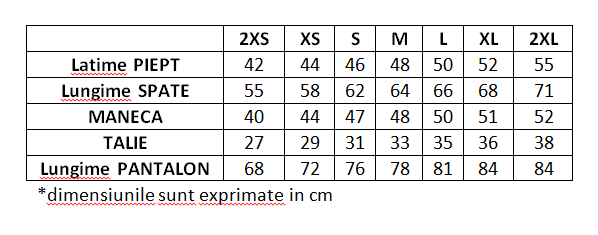 Trening Cationic PEAK Style21 dama gri [4]
