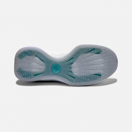 Pantofi sport Peak Taichi 4.0 Pro Running albastru [2]
