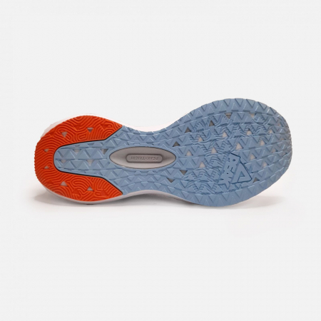 Pantofi sport Peak Taichi 5.0 Pro albastru [2]