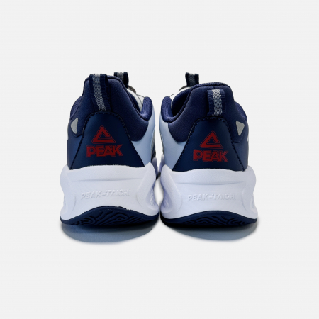 Pantofi sport Various 2.0 albastru/alb [3]
