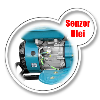 Motocultor Profesional DKD HS 1000B [2]