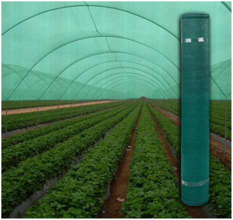Plasa umbrire 6x20m,grad de umbrire 35%,greutate 40gr/mp [2]