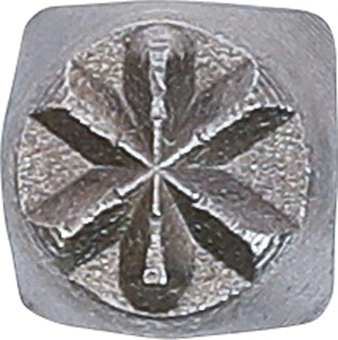 Poanson stea, 6 mm BGS 2050 [2]
