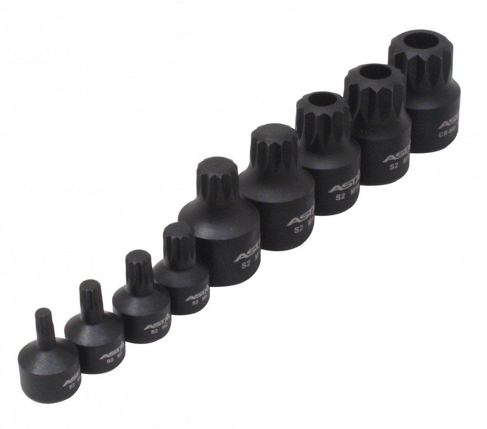 A-1M9TSB - Set biti Spline (XZN) M4 - M16, actionare 1/2", 3/8", 9 piese [4]