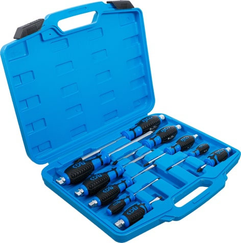 Set surubelnite, 10 piese BGS 7897 [3]