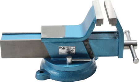 Menghina cu bacuri de 125 mm BGS 59112 [1]