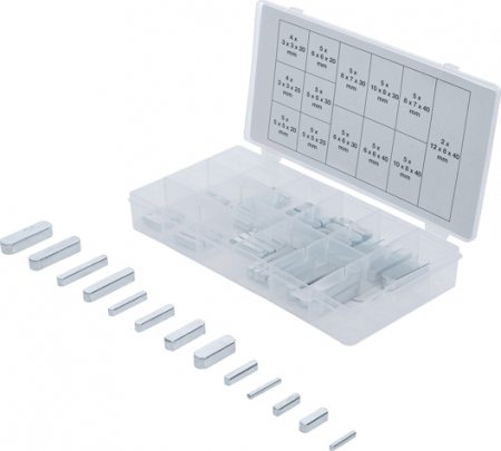 Consumabile - Set pene de ajustare, 60 piese BGS 8141