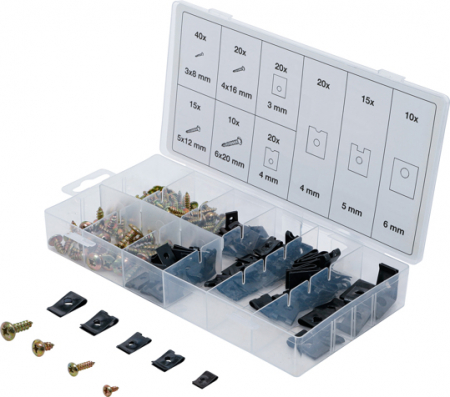 Consumabile - Set suruburi si cleme metalice, 170 piese BGS 8114