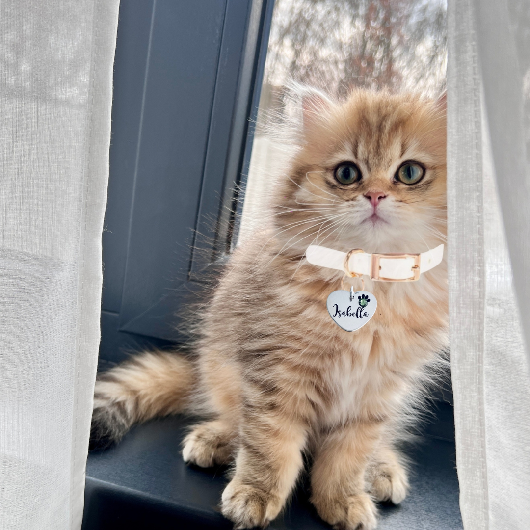 Medalion argint personalizat inima si cristal - Pentru pisicuta ta [6]