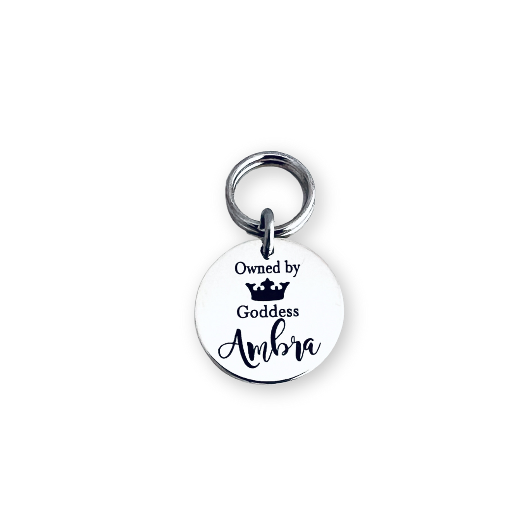 Medalion Personalizat din Argint pentru Animăluț – Cu Nume și Număr Telefon [2]