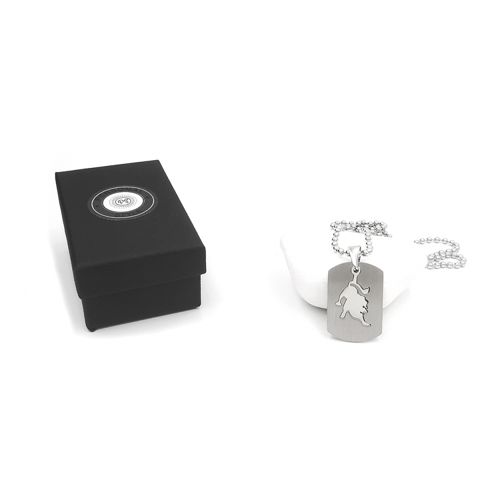Lant inox US Army cu pandantiv Dog Tag tip placuta identificare zodia Leu [5]