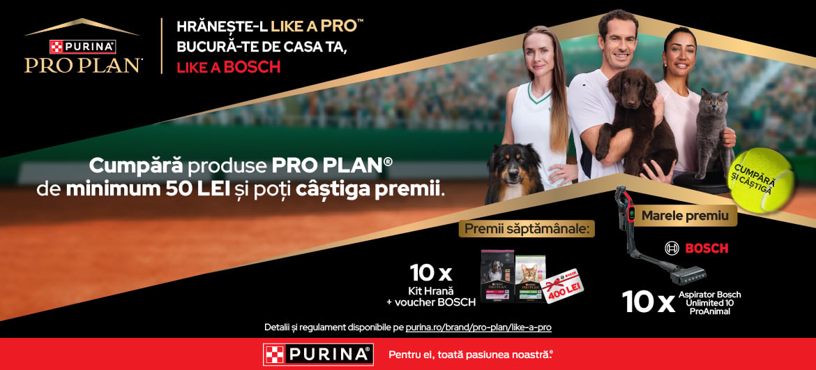 Pro Plan