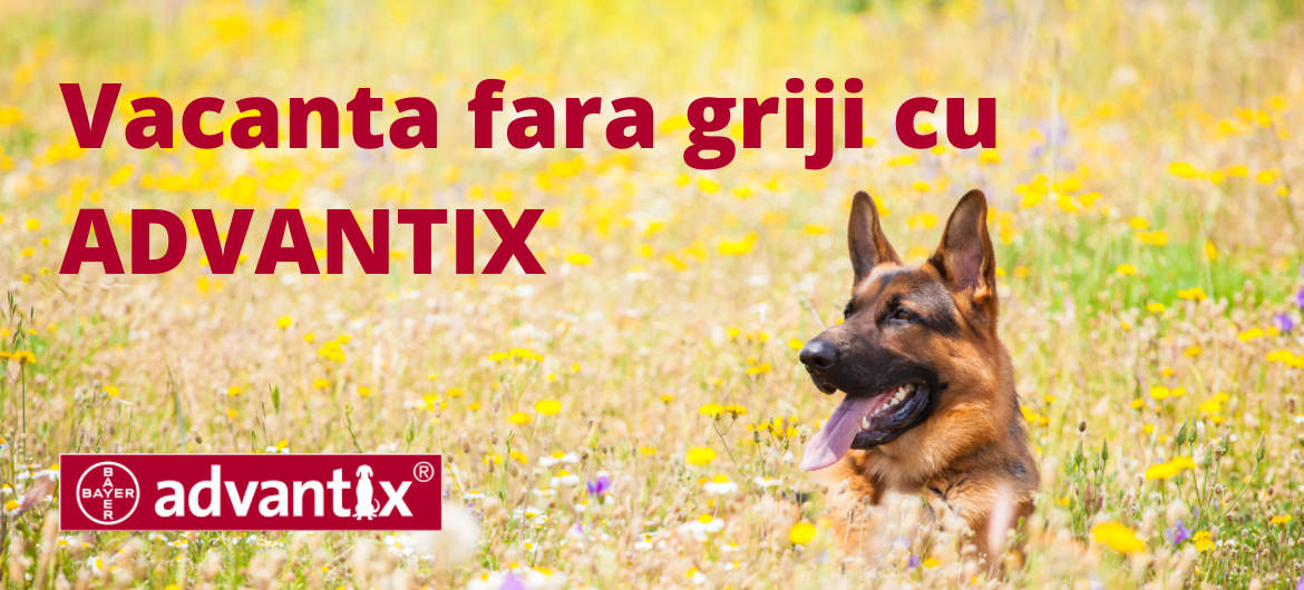 MAX - ADVANTIX