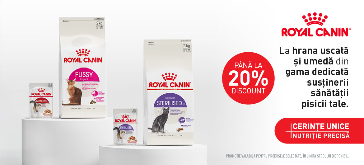 royal canin mini adult, maxi adult