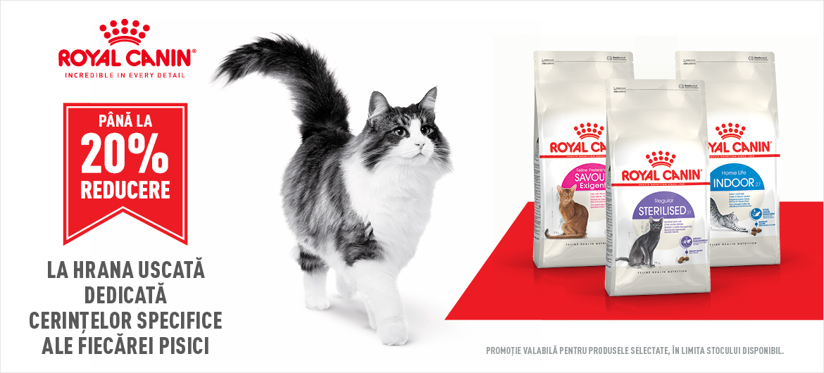 royal canin