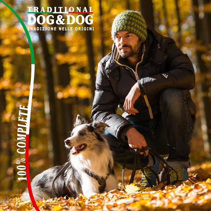 Tot ce trebuie să știi despre Dog & Dog – Hrana uscată pentru câini