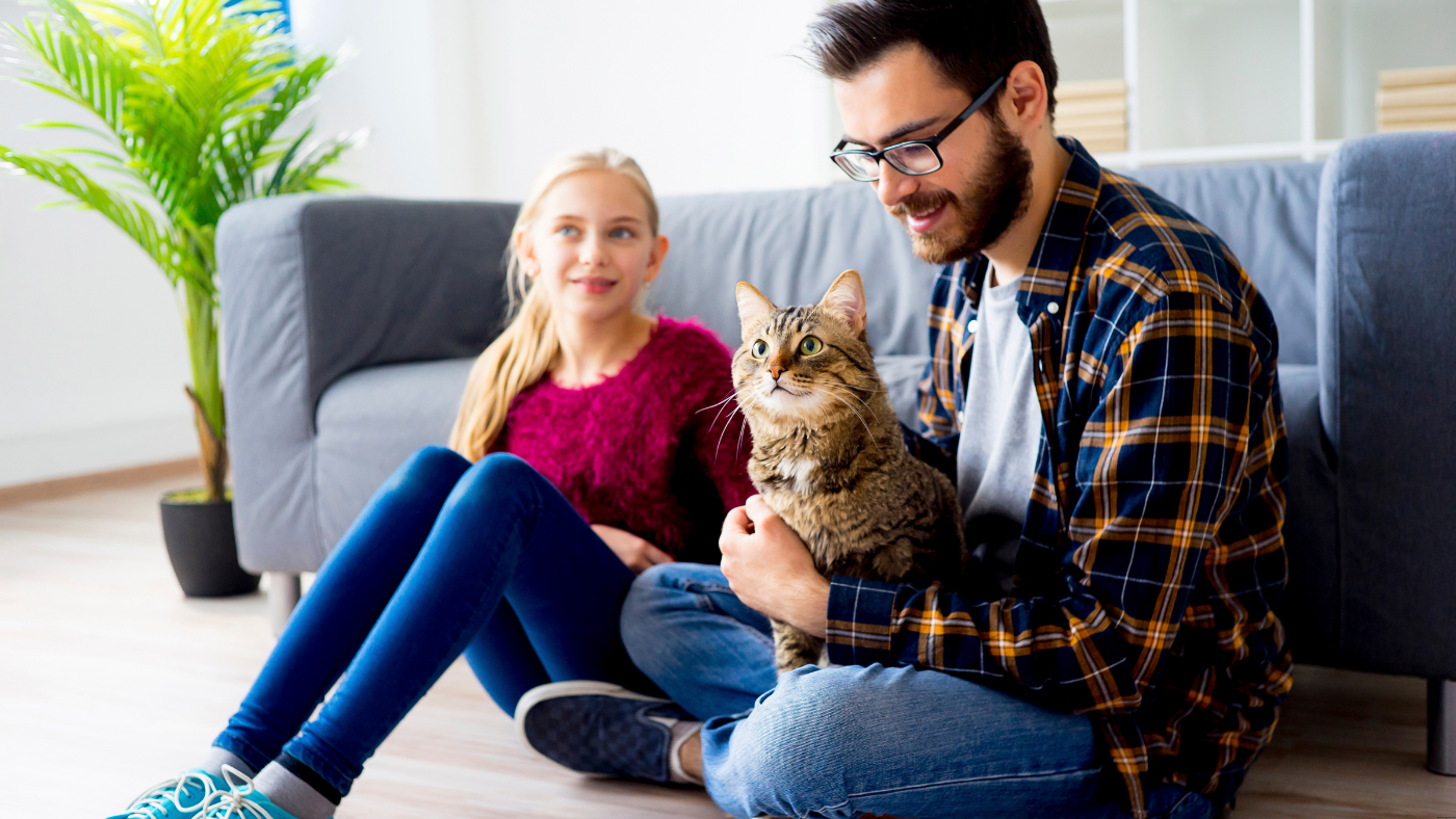 Când este necesară o dietă veterinară pentru pisici?