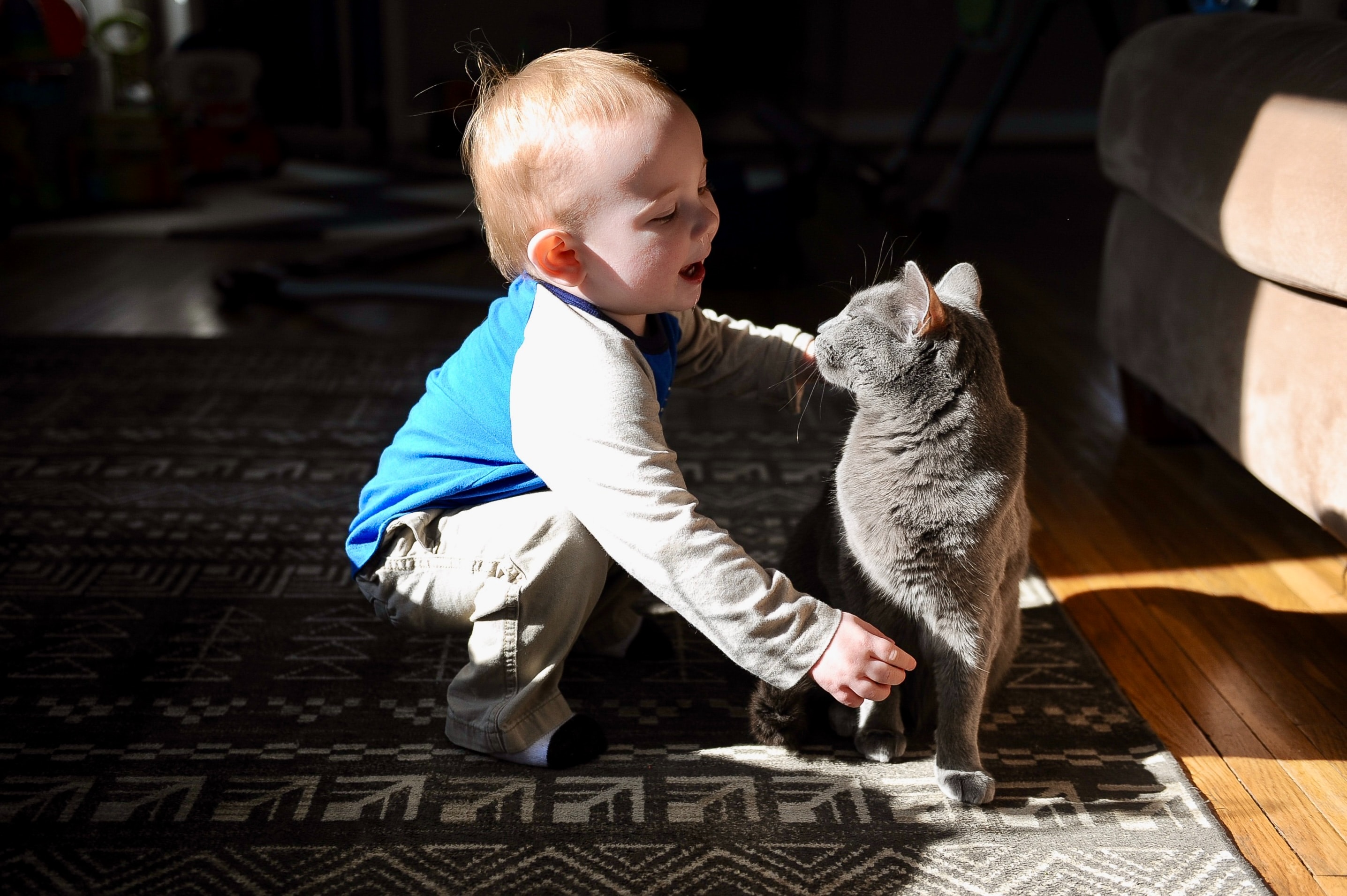 Beneficiile terapeutice ale pisicilor: o mai bună dezvoltare și sănătate a copiilor