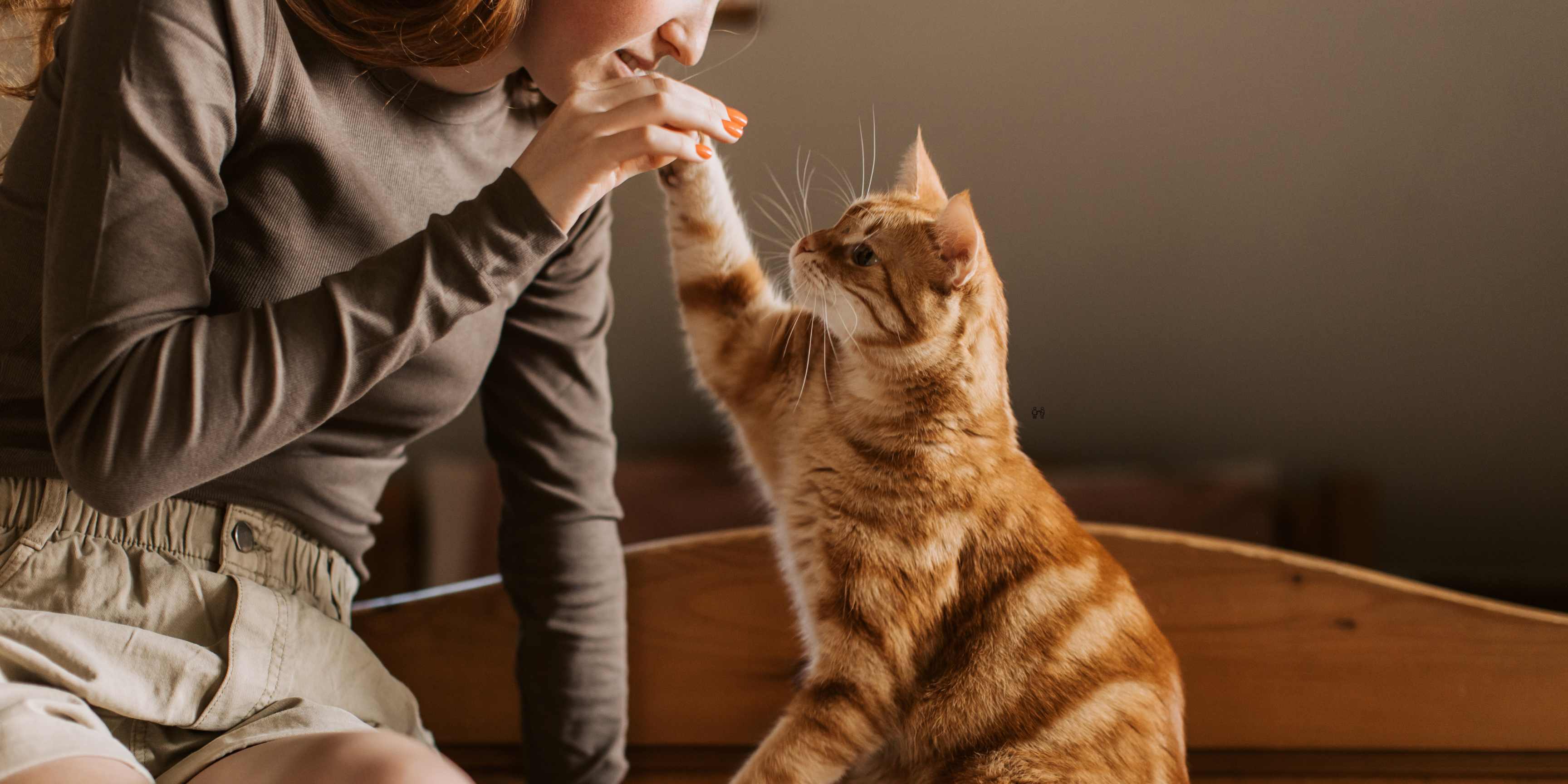 Pisica ta stă doar în casă? Iată cum îi stimulezi instinctele naturale