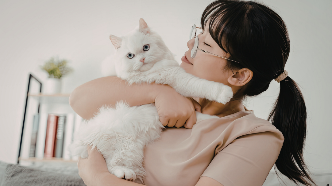 Cum previi obezitatea la animalul tău de companie (problema nr. 1 în 2026)